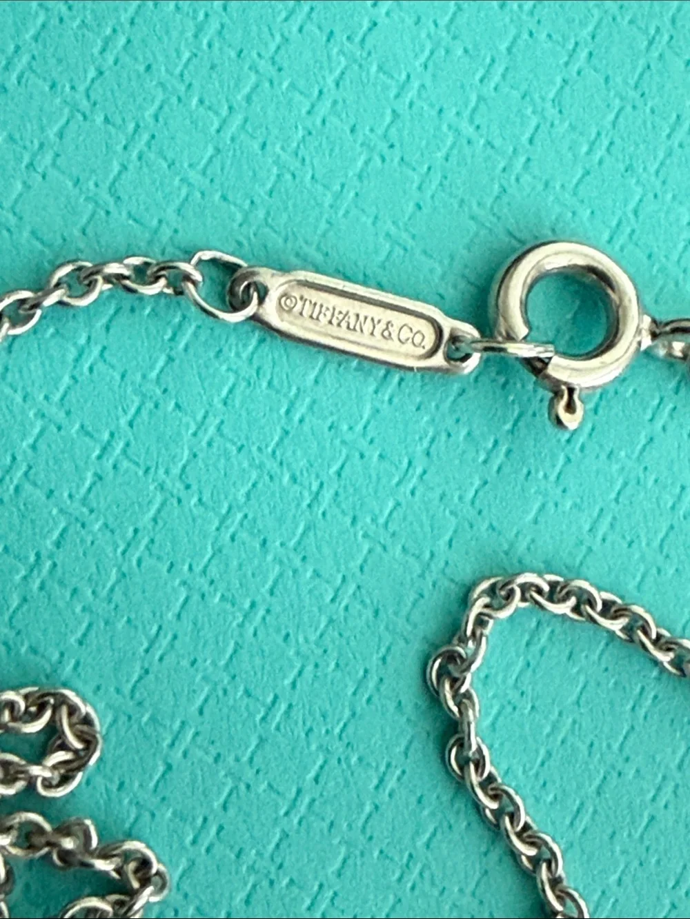 1837 Tiffany & Co. Interlocking Rings Lariat Necklace